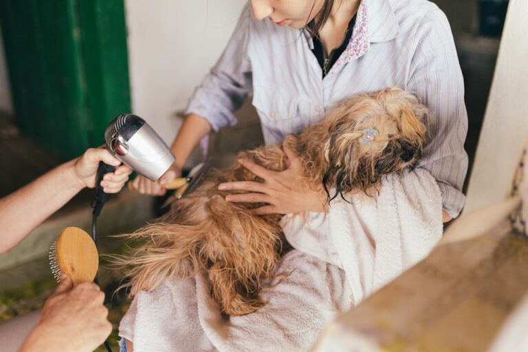 Revolutionizing Pet Health: Essential Smart Devices Every Pet Owner Should Know