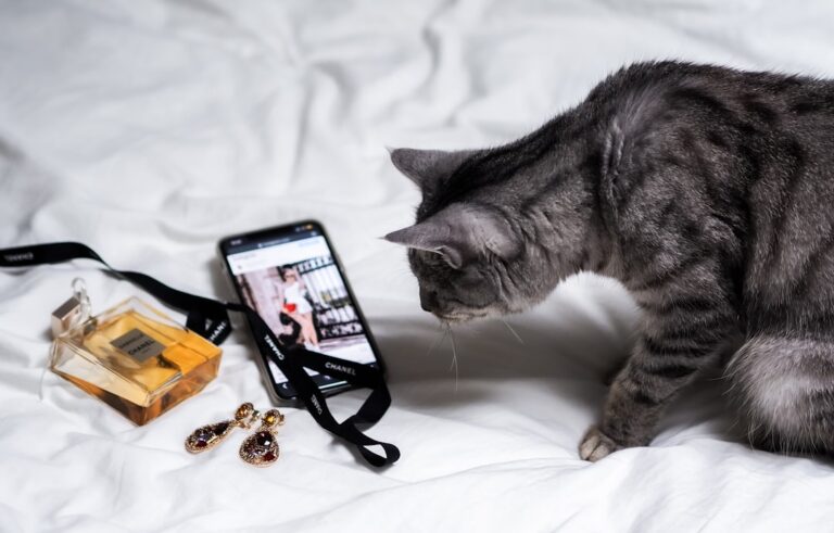 Revolutionizing Pet Wellness: The Smart Health Gadgets Every Pet Owner Needs