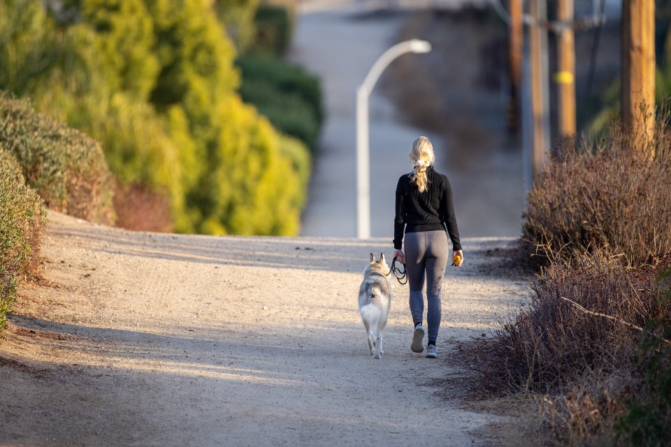 Walking a dog outdoors